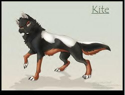 kite.jpg kite anime wolf image by afreakchemicalreaction