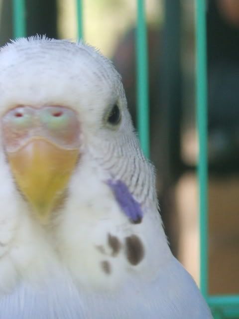 DSCF3593.jpg