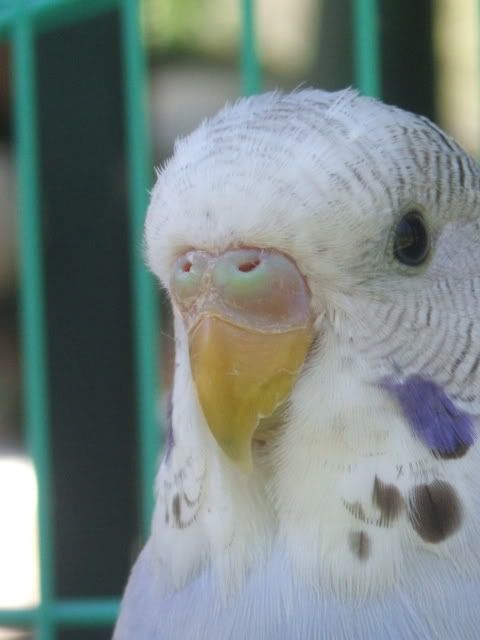 DSCF3594.jpg