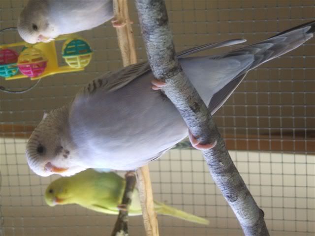 DSCF3457.jpg