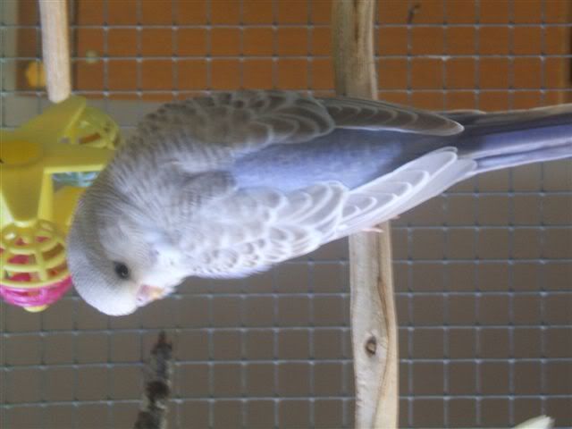DSCF3469.jpg