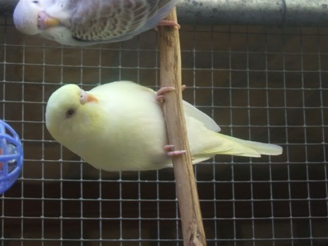 DSCF3473.jpg