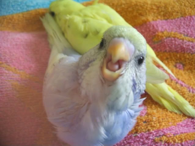 DSCF3896_1.jpg