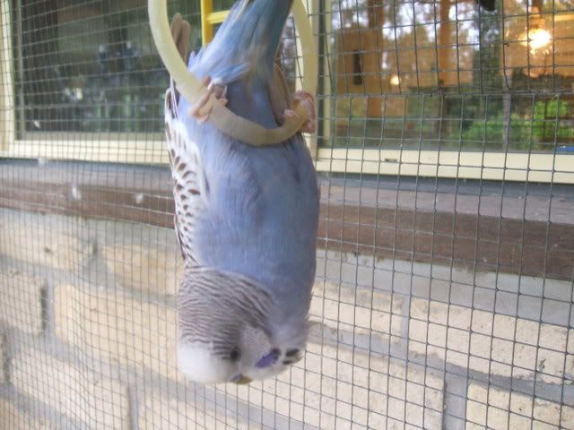 DSCF3623.jpg