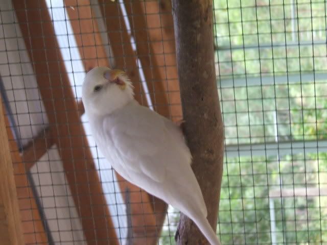 DSCF3717.jpg