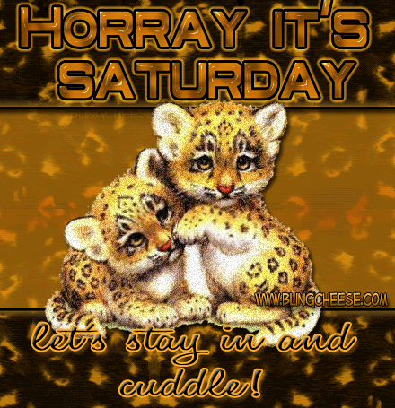 Baby_leopards.gif