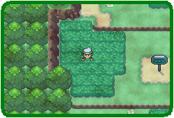 Route103.png