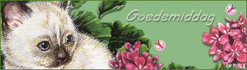 goedemiddag photo: Goedemiddag catgeranium-goedemiddag.gif
