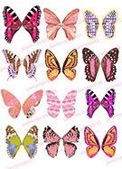 Rainbow Butterflies Collage Sheet