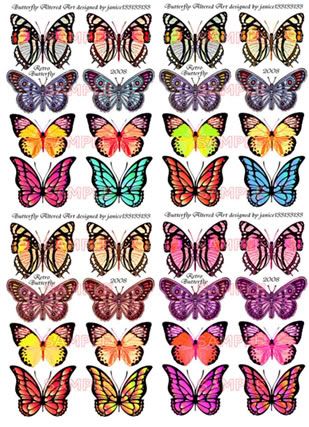 Classic Butterflies