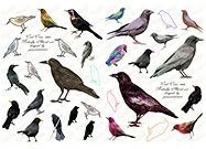 Cool Crows Collage Sheet