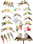 Love Birds Collage Sheet