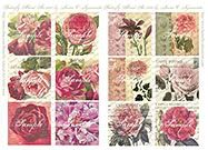Roses Backgrounds Collage Sheet