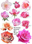 Rose Pink Collage Sheet