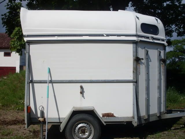 SDC10482.jpg