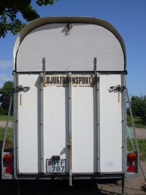 SDC10483.jpg