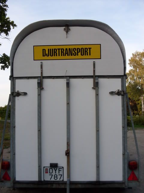 SDC10564.jpg