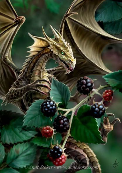 Fantasy Blackberry Dragon Pictures