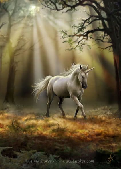 Fantasy Unicorn Einhorn