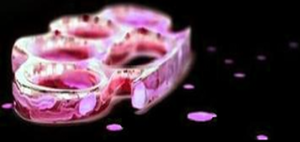 brass knuckles photo: brass knuckles knuckles-2.png