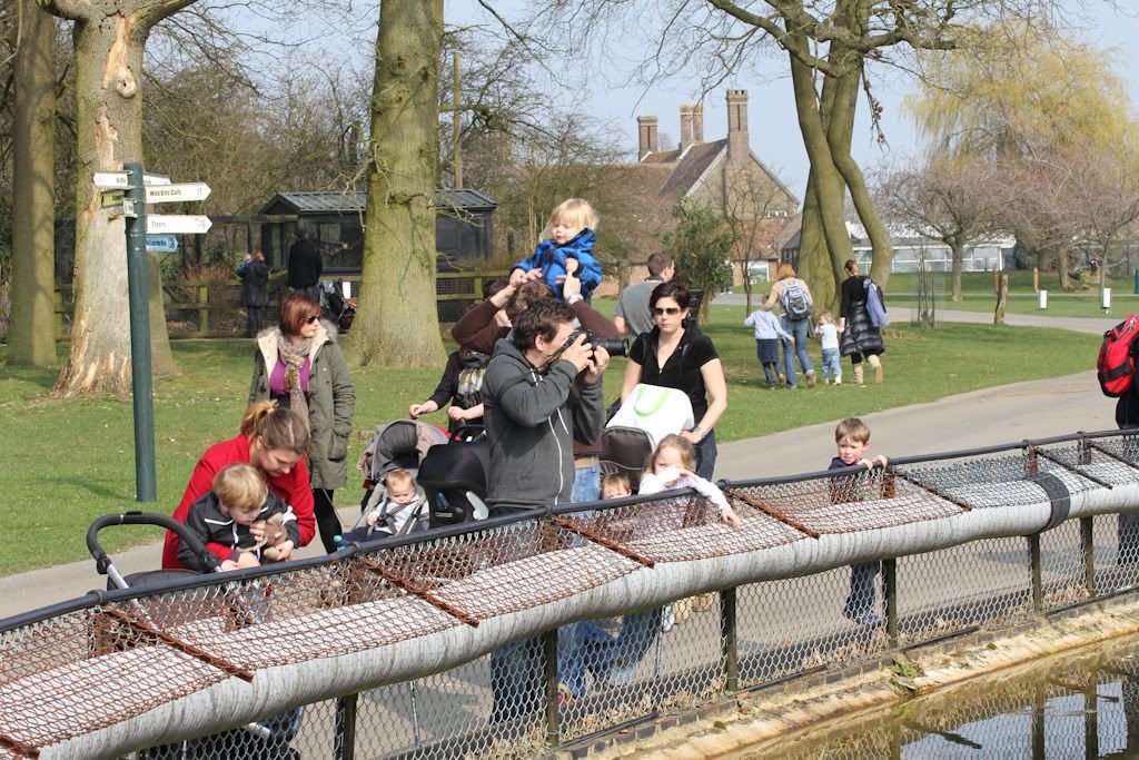 IMAGE: http://i279.photobucket.com/albums/kk128/ziggy_76/IMG_0036.jpg