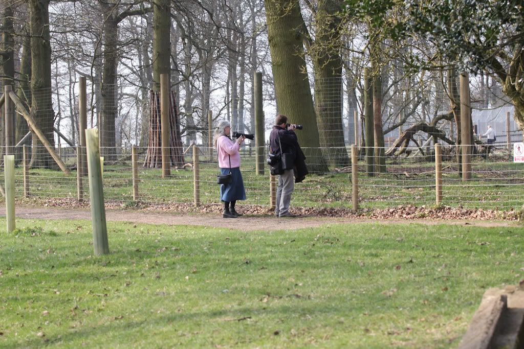 IMAGE: http://i279.photobucket.com/albums/kk128/ziggy_76/IMG_0086.jpg