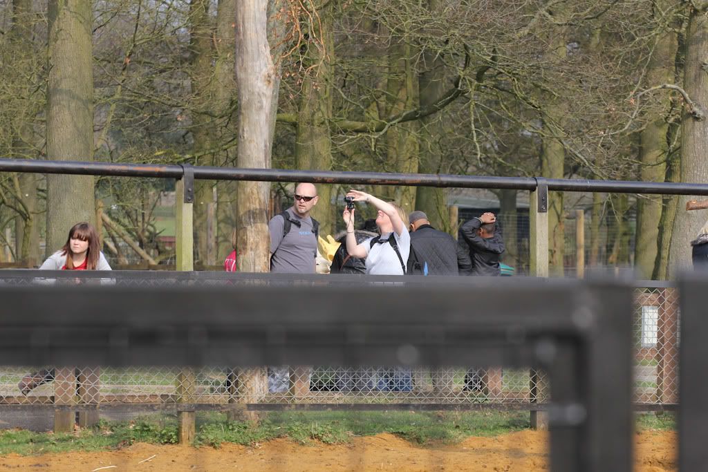 IMAGE: http://i279.photobucket.com/albums/kk128/ziggy_76/IMG_0087.jpg