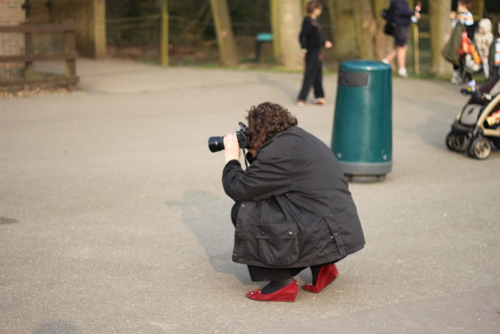 IMAGE: http://i279.photobucket.com/albums/kk128/ziggy_76/IMG_0280.jpg