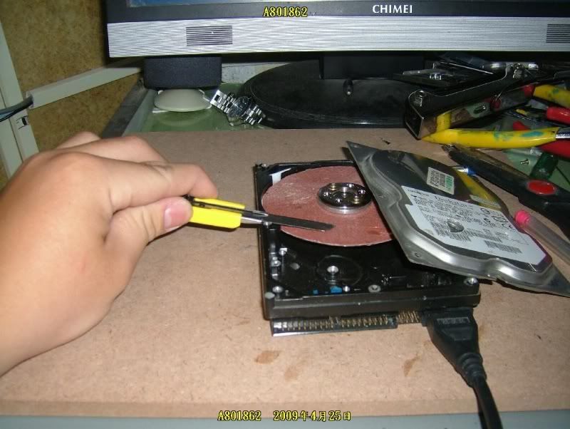 E113.jpg
