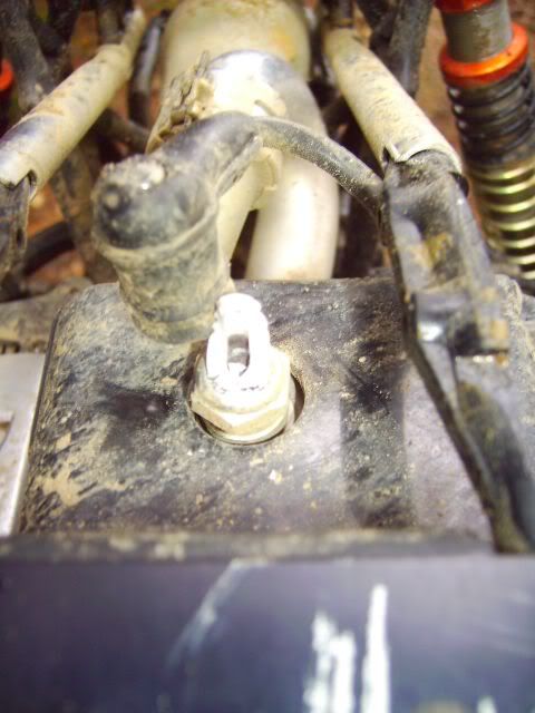 sparkplug.jpg