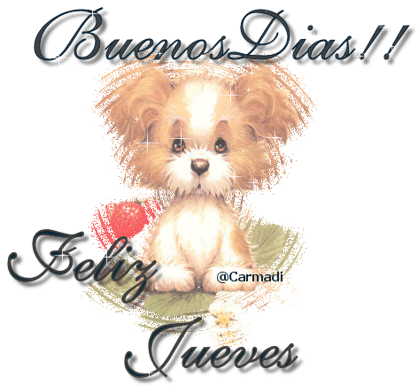 felizjueves8jn.gif picture by Gran_Pensadora