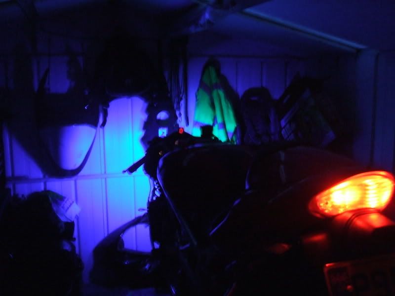 Picture074.jpg