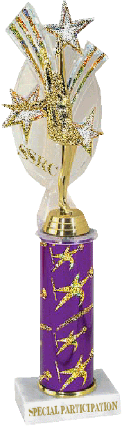 SPECIAL PARTICIPATION big 65 pixels