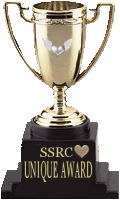 UNIQUE AWARD