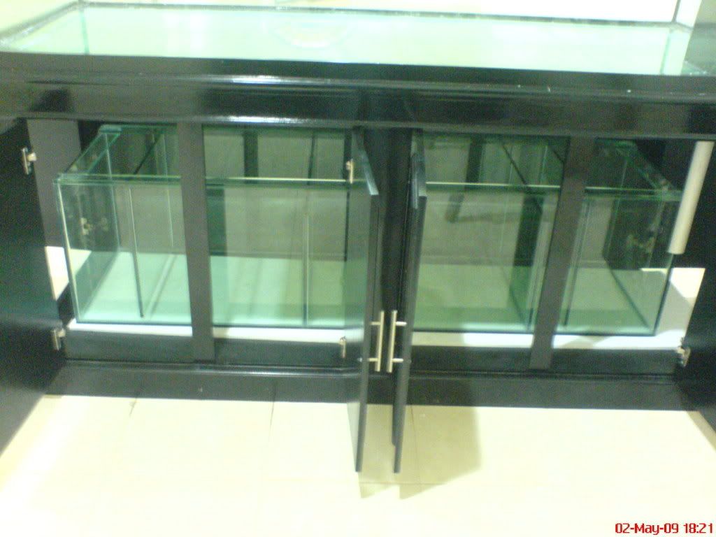 DSC02123.jpg