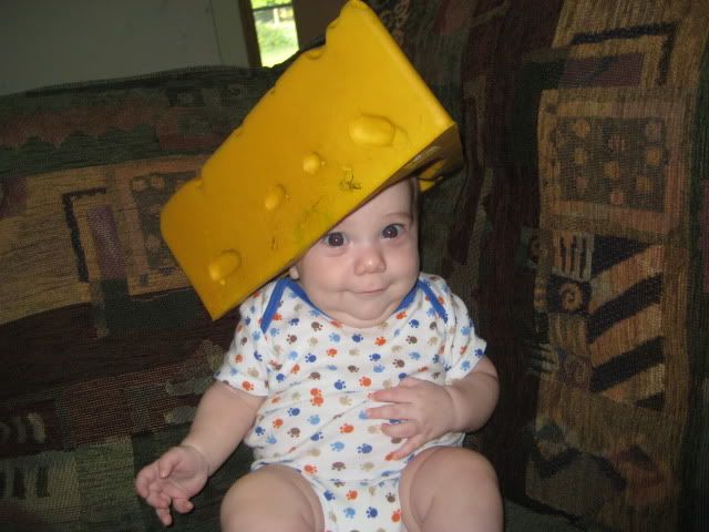 Babies Cheese Heads