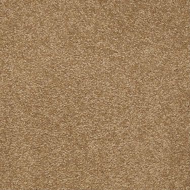 Texture Carpet Sample Anso Nylon Texture Carpet Sample