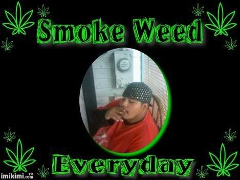 Smoke Weed Everyday Pictures, Images and Photos