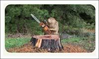 WeirdBeaver.jpg Beaver!!! image by Freddie_The_Dog
