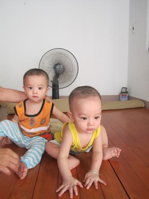 hai anh em m&igrave;nh nh&#432; b&aacute;nh &#273;a b&aacute;nh &#273;&uacute;c