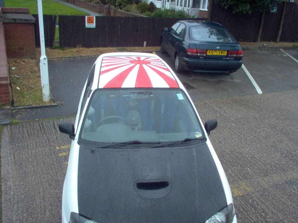 holidaycarpics013.jpg