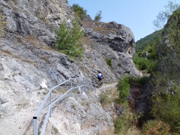 Postavljena slika