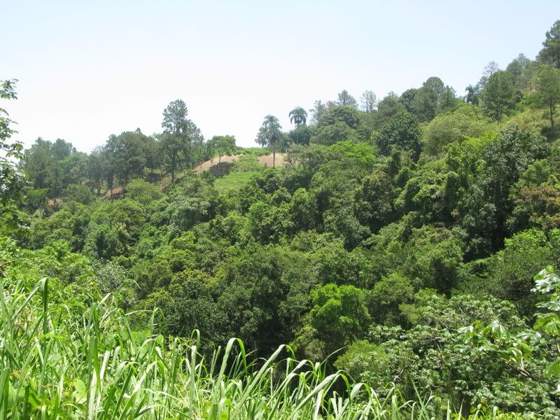 BaiguateWaterfall28.jpg