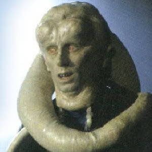 Bib.jpg
