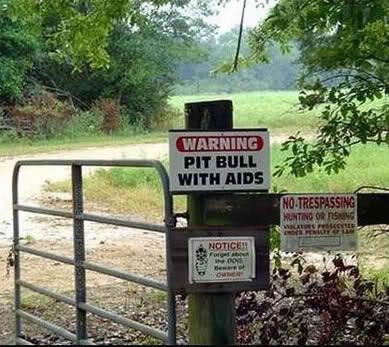 [Image: pitaids.jpg]