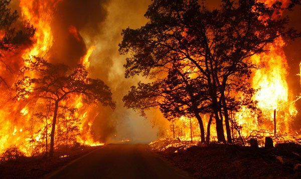 wildfires photo: Texas Wildfires 312026_273078999386591_100000534803658_1045745_1949012677_n.jpg
