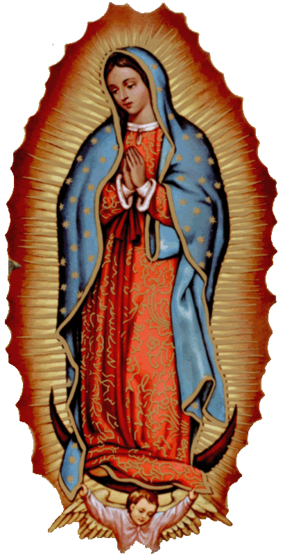 virgenguadalupe.gif picture by mabe639_2008