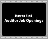 auditor job description