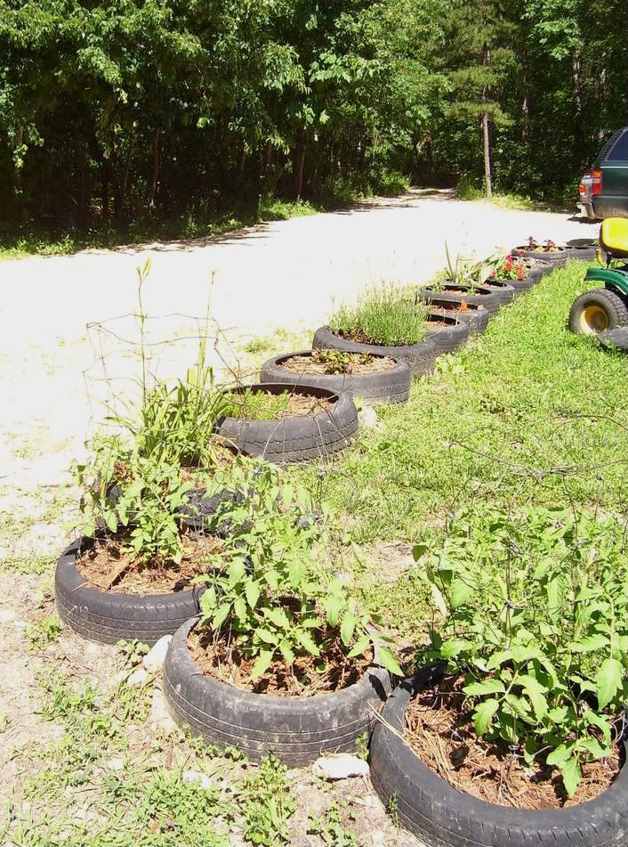 tire garden photo: Tire garden Christmas07tospring08182.jpg