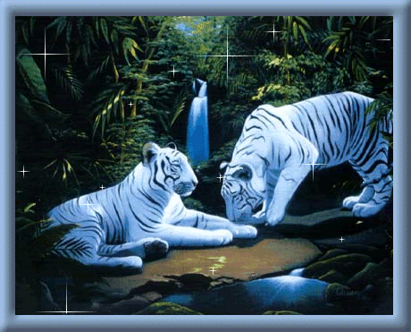 White Tigers,Glitter Graphics